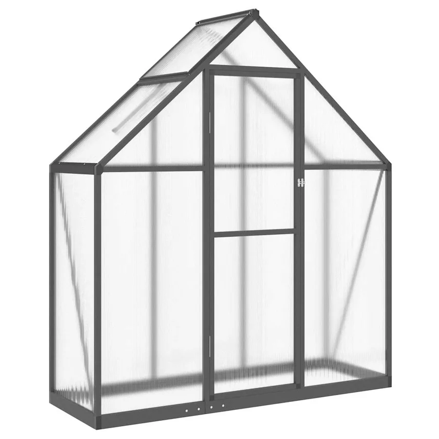 Serre avec cadre de base anthracite 169x58x195 cm aluminium - 2