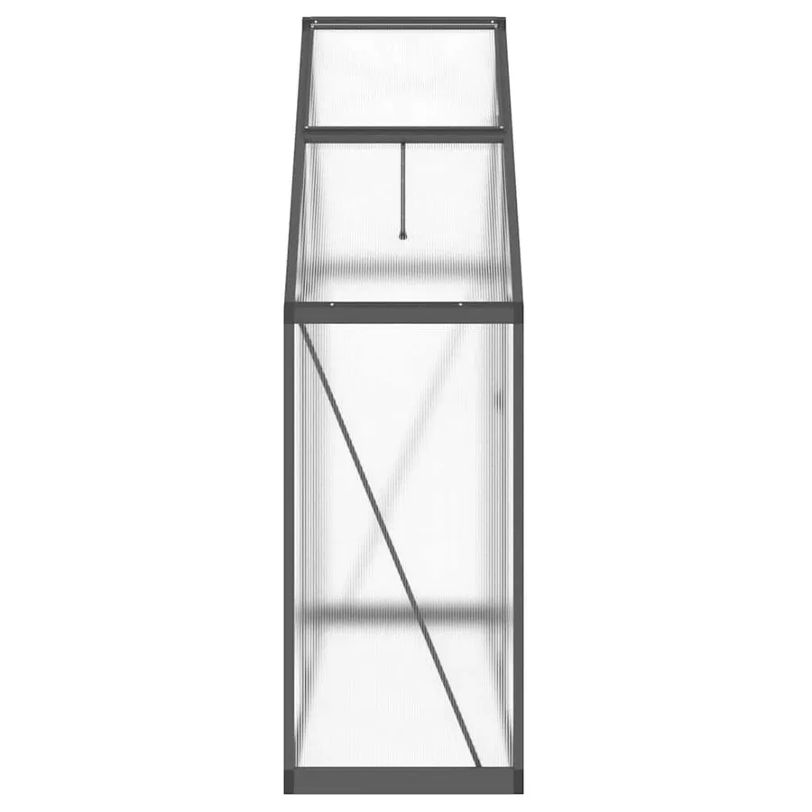 Serre avec cadre de base anthracite 169x58x195 cm aluminium - 4