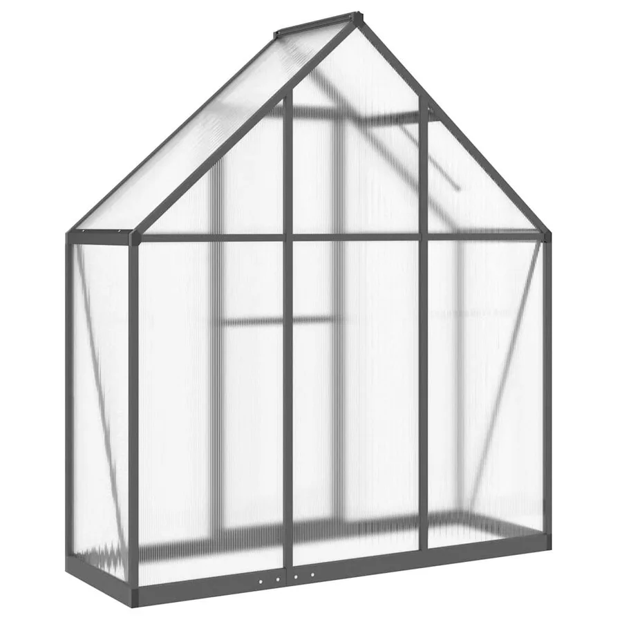 Serre avec cadre de base anthracite 169x58x195 cm aluminium - 5