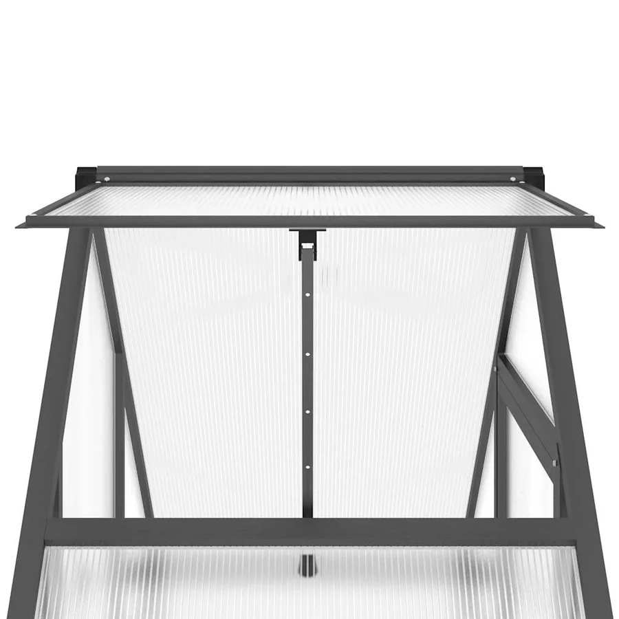 Serre avec cadre de base anthracite 169x58x195 cm aluminium - 9
