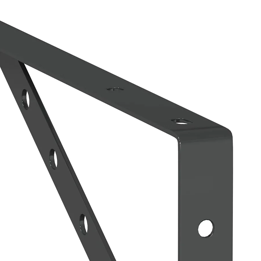 Supports d'étagères 4 pcs 40x2,5x25 cm noir acier inoxydable - 10