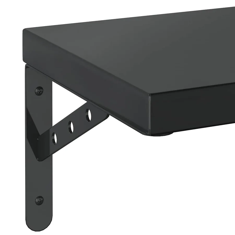 Étagères murales 2 pcs 75x23,5 cm noir acier inoxydable - 8