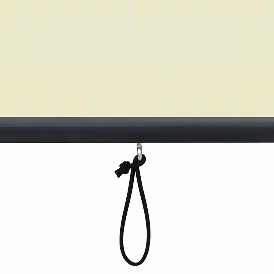 Store roulant d'extérieur 80 x 250 cm Crème - 8