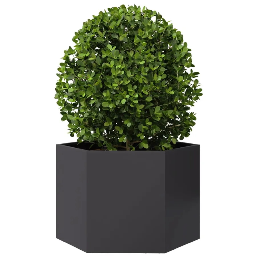 Jardinière noir hexagone 69x60x45 cm acier - 3