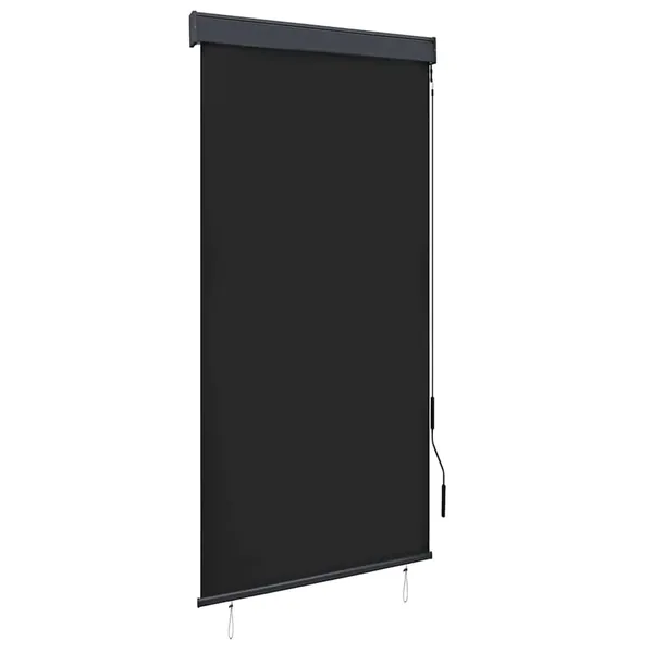 Store roulant d'extérieur 100 x 250 cm Anthracite