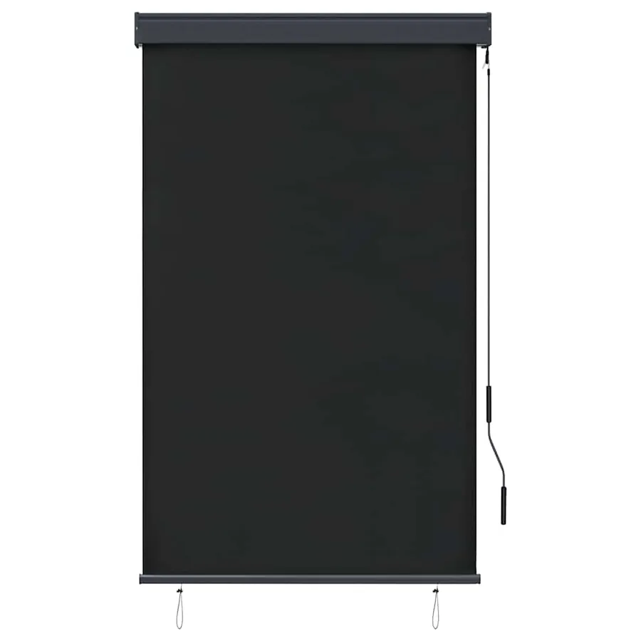 Store roulant d'extérieur 100 x 250 cm Anthracite - 2