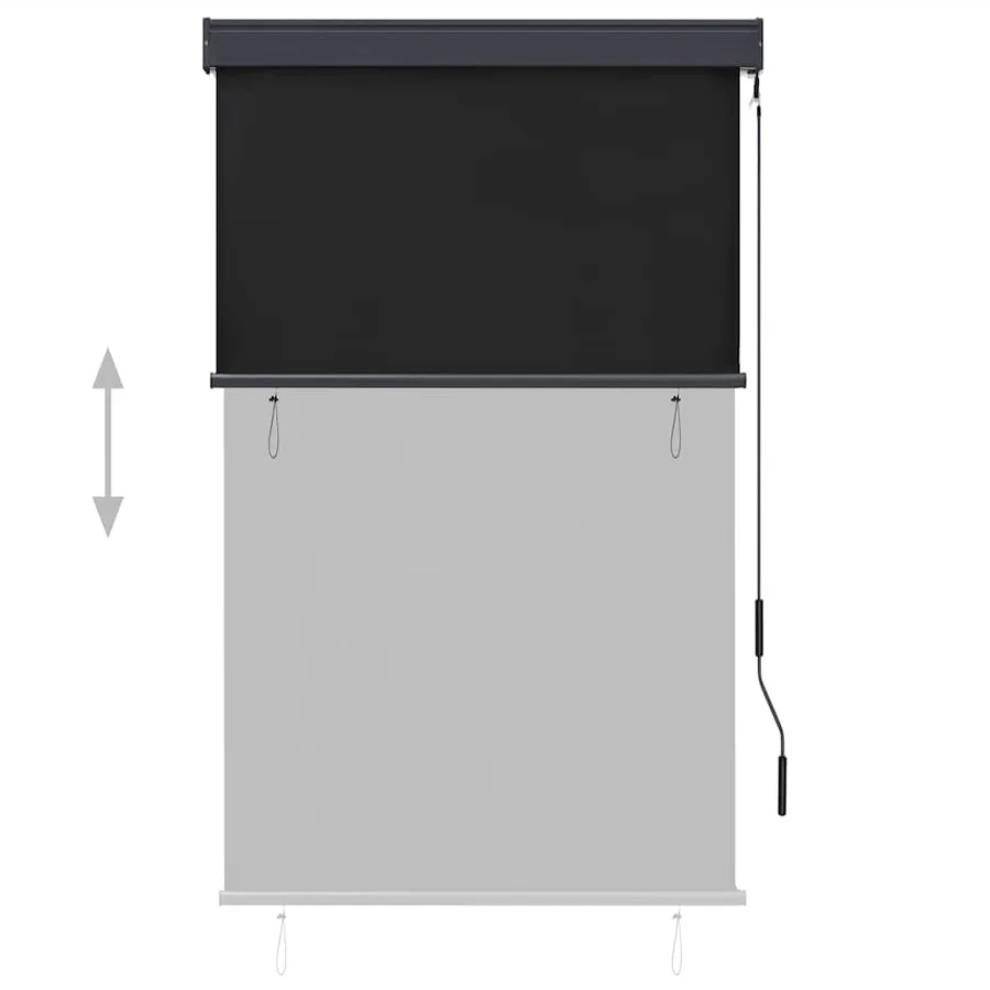 Store roulant d'extérieur 100 x 250 cm Anthracite - 3