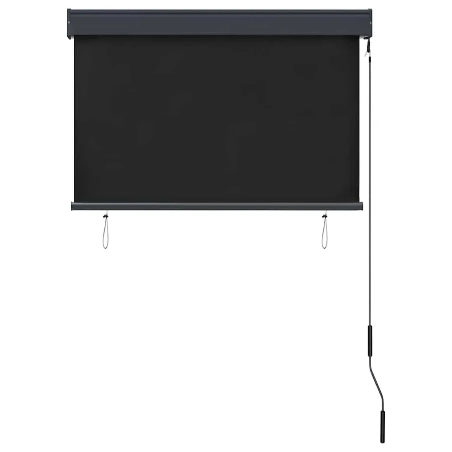 Store roulant d'extérieur 100 x 250 cm Anthracite - 4