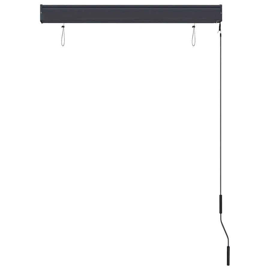Store roulant d'extérieur 100 x 250 cm Anthracite - 5