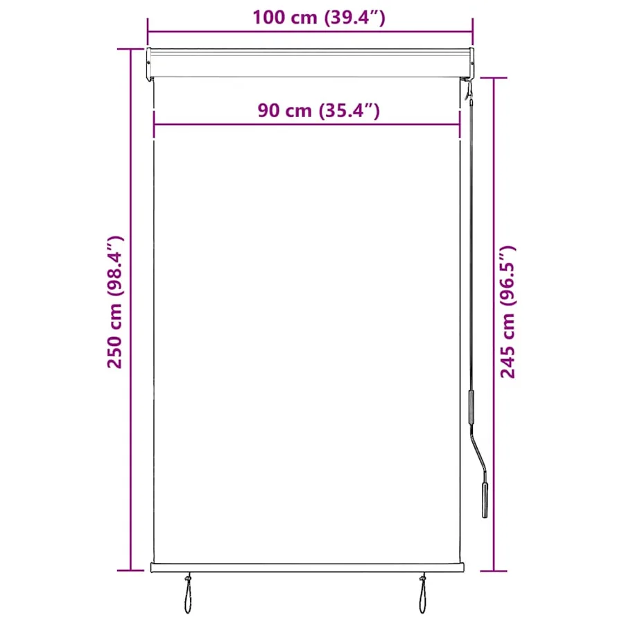 Store roulant d'extérieur 100 x 250 cm Anthracite - 9
