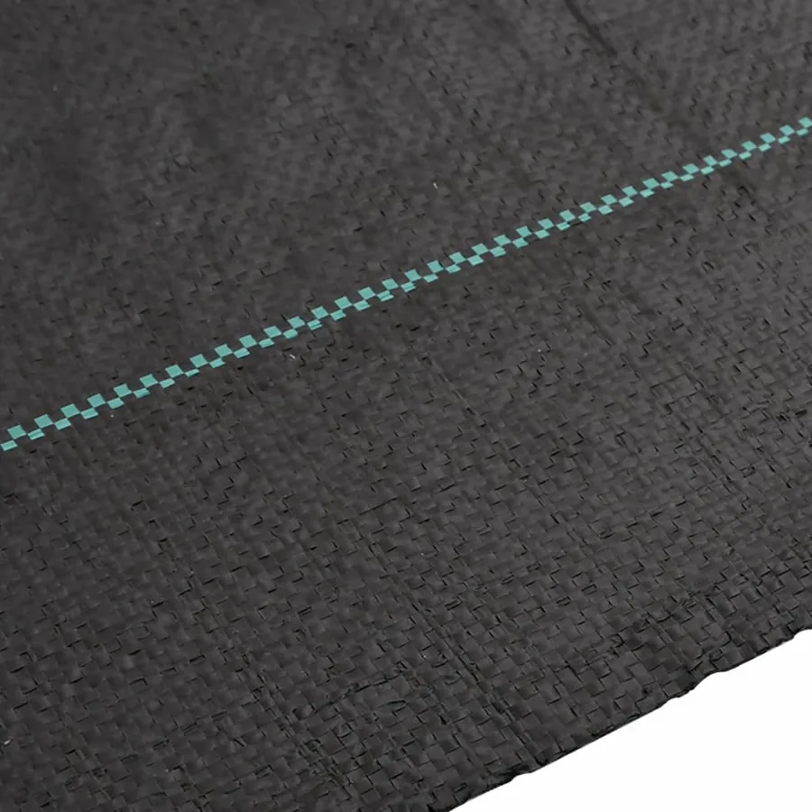 Membrane anti-mauvaises herbes noir 4x100 m PP - 4