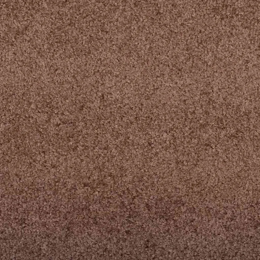 Tapis d'entrée Marron et Noir 60 x 180 cm 100% Polyamide - 6