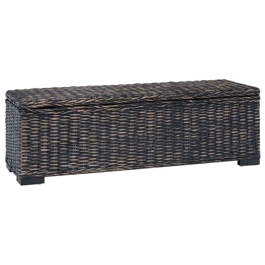 Boîte de rangement avec stockage Noir 110 x 35 x 45 cm