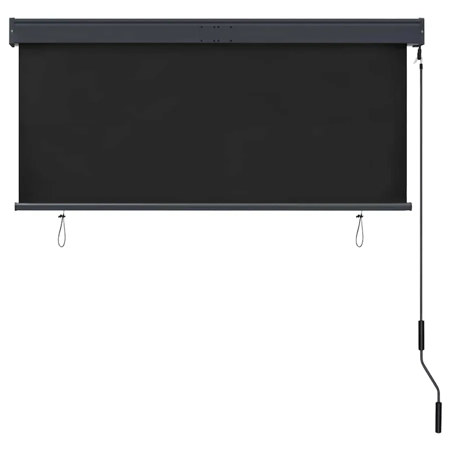 Store roulant d'extérieur 140 x 250 cm Anthracite - 4