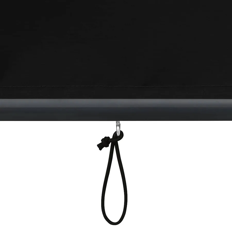 Store roulant d'extérieur 140 x 250 cm Anthracite - 9