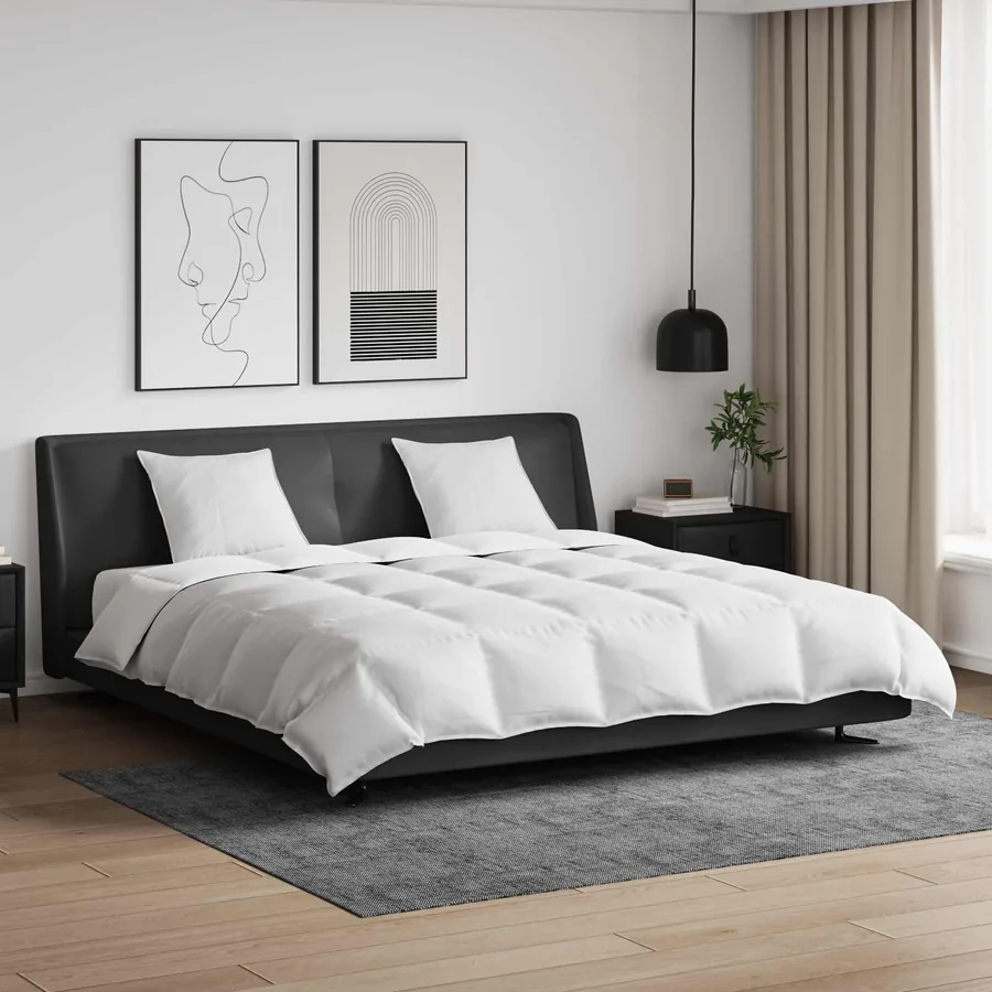 Ensemble de Duvet avec oreiller 3 pcs Blanc Plume de canard