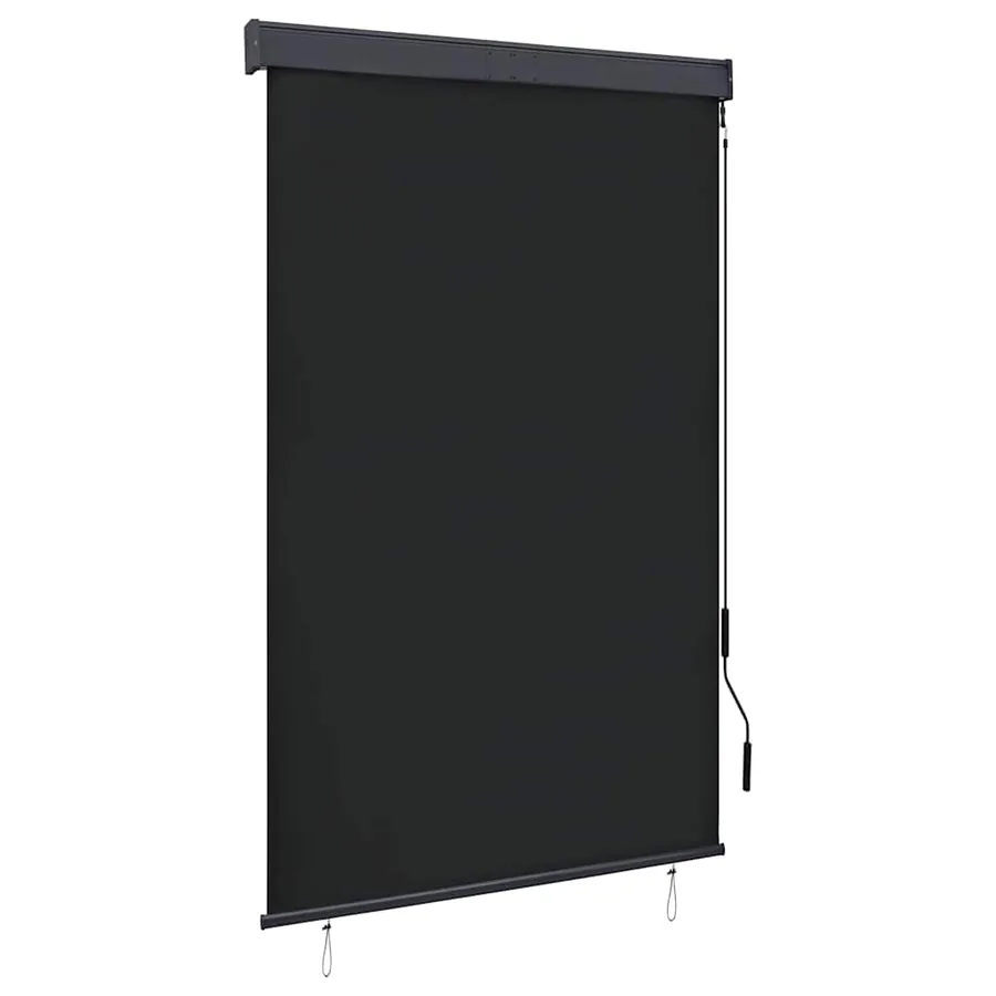 Store roulant d'extérieur 120 x 250 cm Anthracite