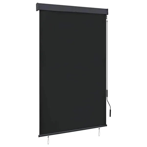 Store roulant d'extérieur 120 x 250 cm Anthracite