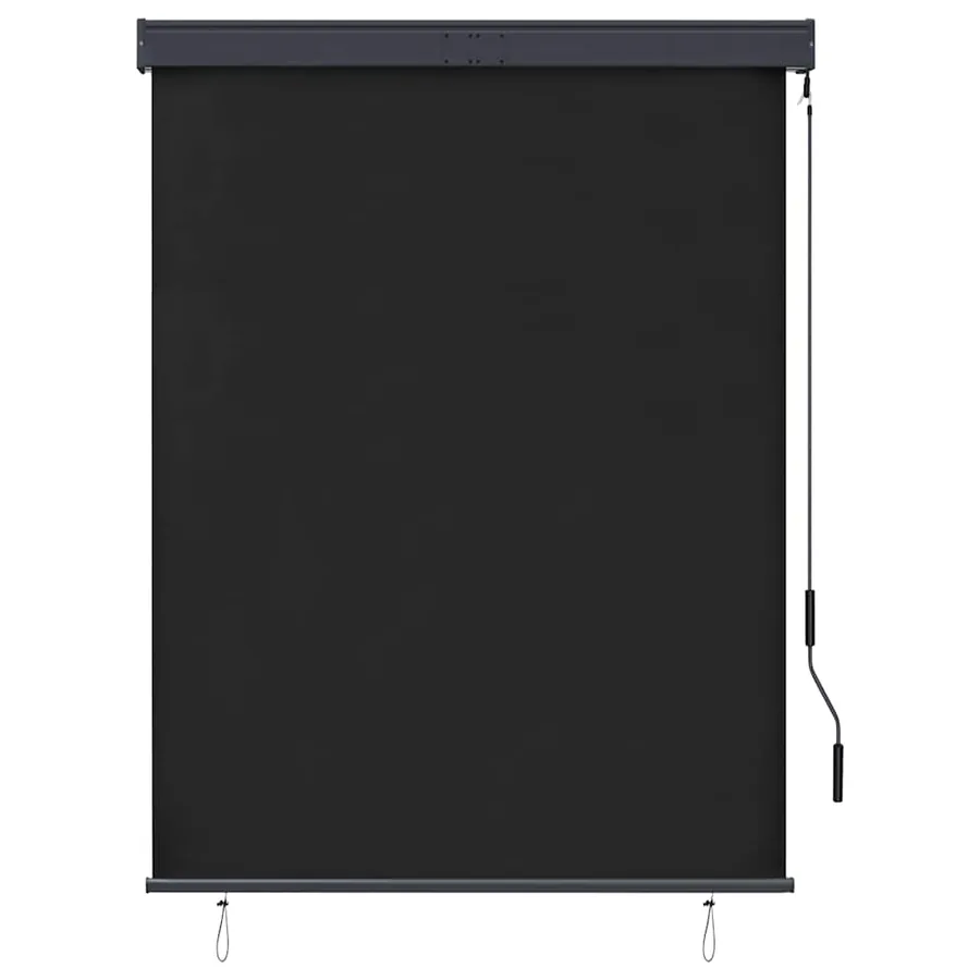 Store roulant d'extérieur 120 x 250 cm Anthracite - 2
