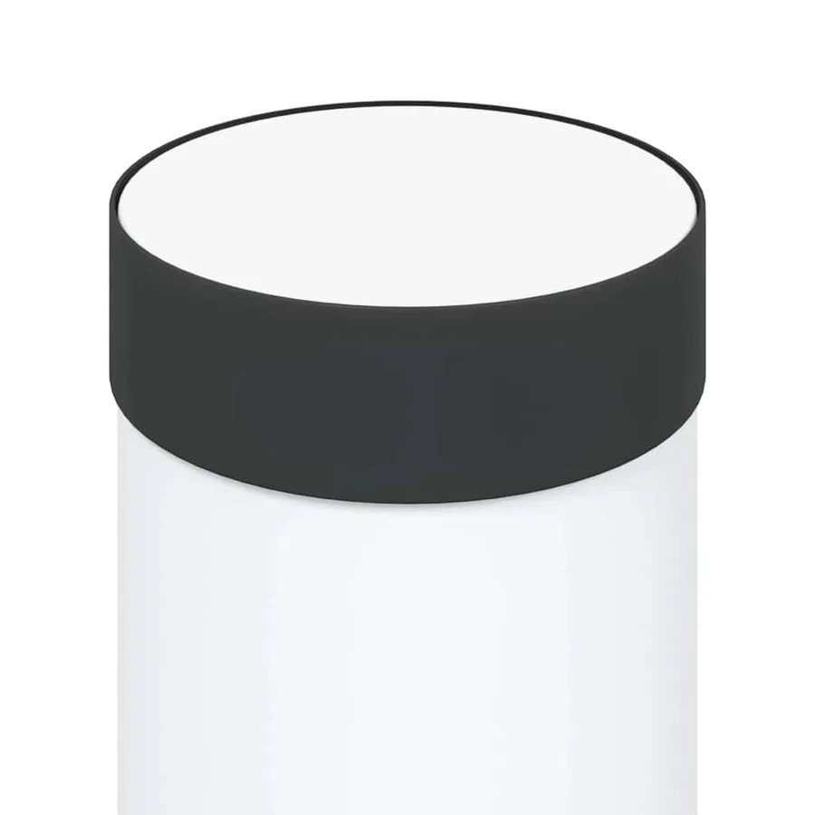 Borne lumineuse 80 cm en acier inoxydable IP44 - 7