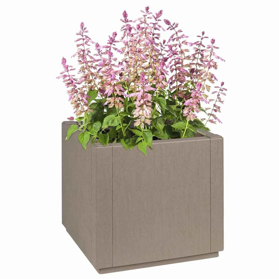 Boîte de fleurs de jardin Marron Clair 36 x 36 x 35 cm PP - 2
