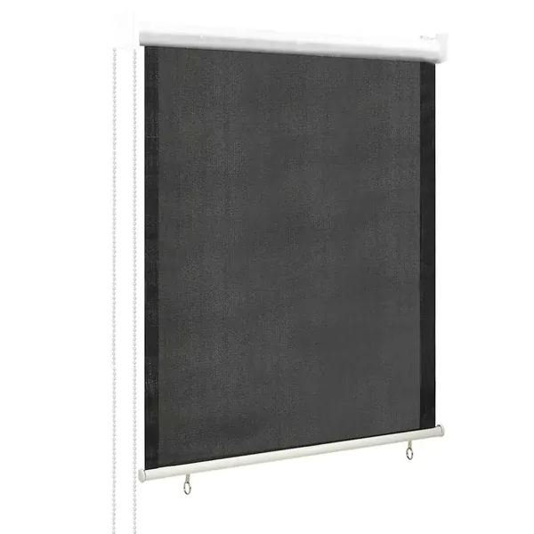 Store roulant d'extérieur 85 (l) x 140 (H) cm anthracite