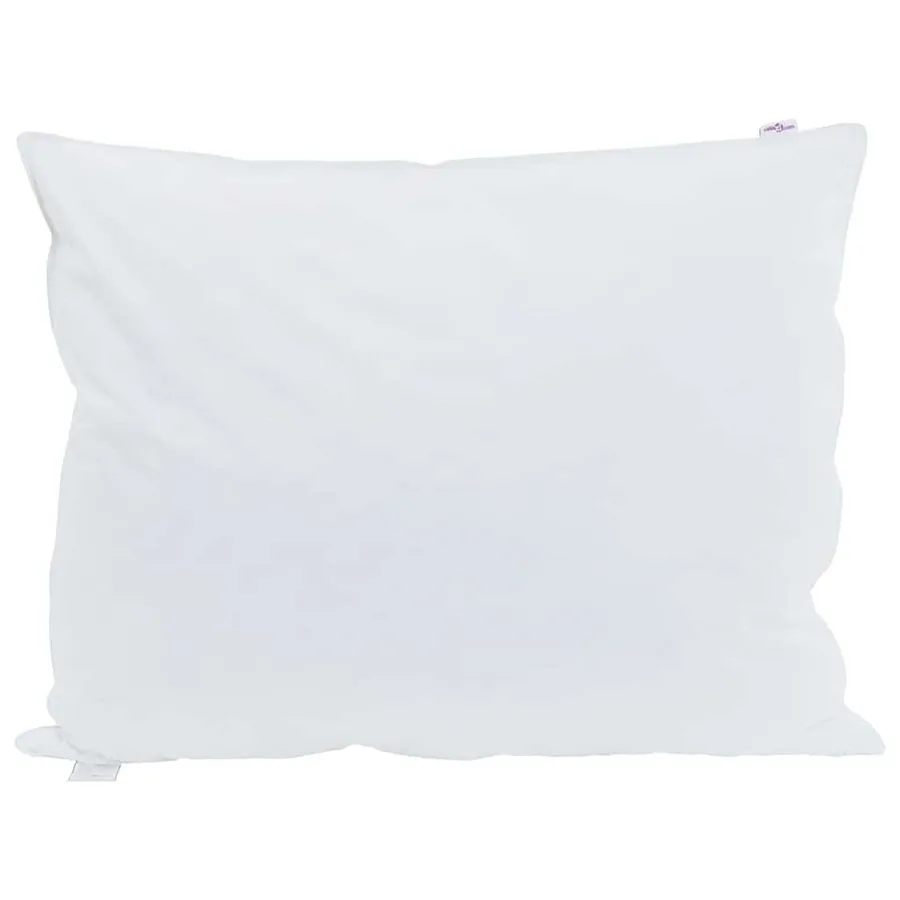 Oreiller avec oreiller 2 pcs Blanc 30 x 50 cm Plume - 2