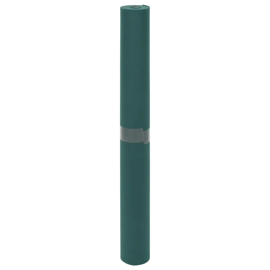 Toison végétale 2 rouleaux 70 g/m² 10x1,6 m - 3