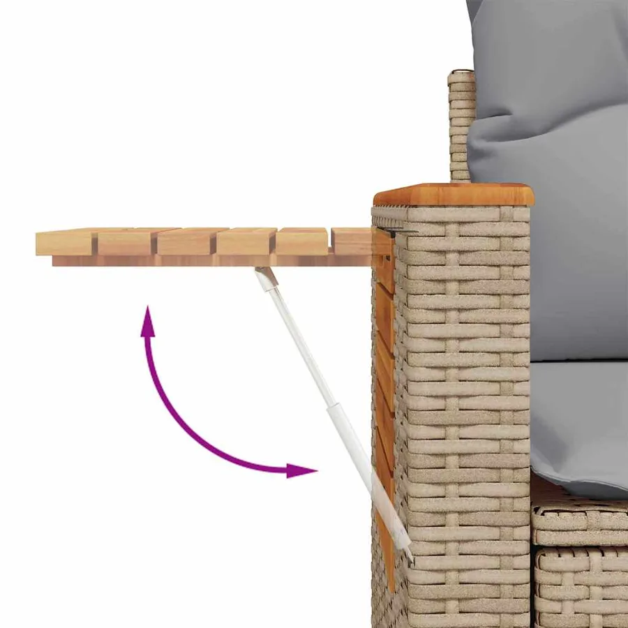 Ensemble de canapé de jardin 10 pcs Beige et Gris clair - 12