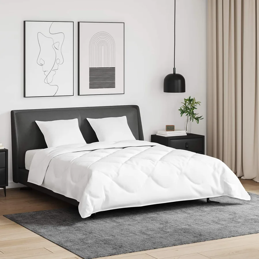 Ensemble de Duvet avec oreiller 3 pcs Blanc Plume de canard