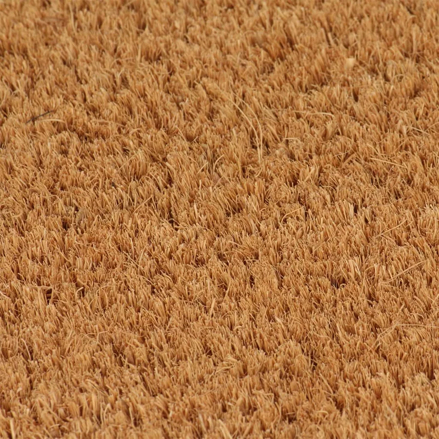 Tapis de porte 2 pcs naturel 40x60 cm fibre de coco touffeté - 3