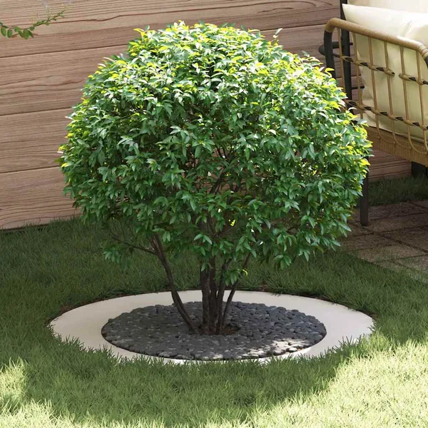 adapté pour anneaux d'arbre plats 5 pc Blanc Ø60/90 cm Acier