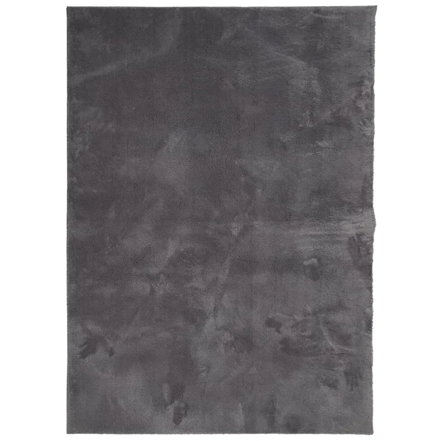 Tapis HUARTE à poils courts doux lavable anthracite 200x280 cm - 2