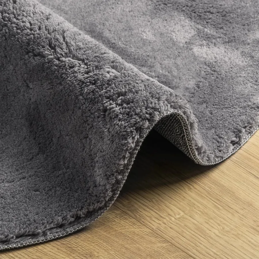 Tapis HUARTE à poils courts doux et lavable anthracite Ø 160 cm - 6