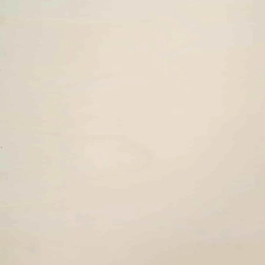 Vitrine Murale avec porte Beige 100 x 8,5 x 54 cm Contreplaqué - 11