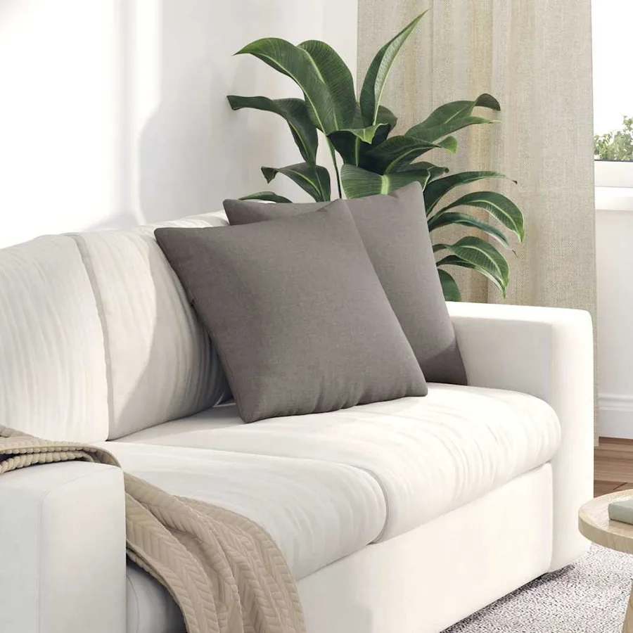 Coussins de canapé 2 pcs Taupe 45 x 45 cm tissu