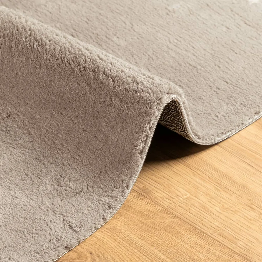 Tapis HUARTE à poils courts doux et lavable sable 80x200 cm - 6