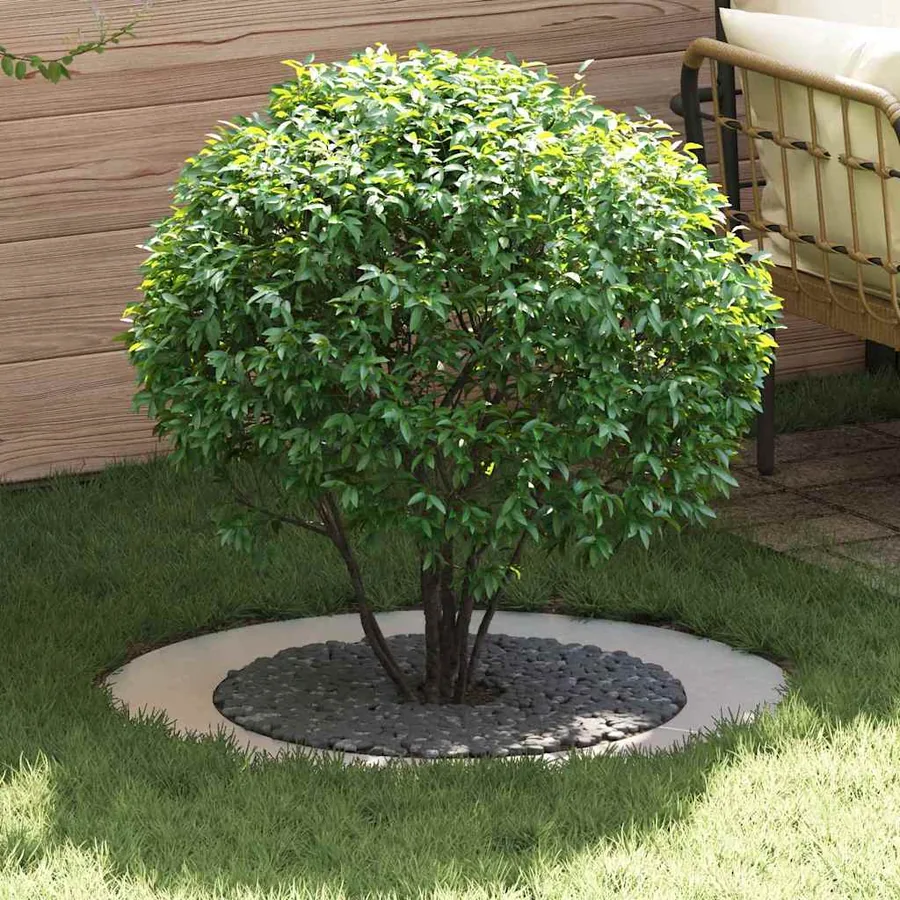 adapté pour anneaux d'arbre plats 5 pc Argent Ø60/90 cm
