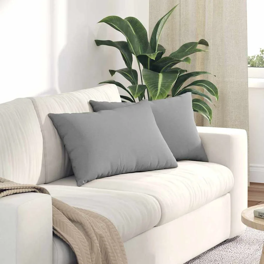 Coussins de canapé 2 pcs Gris nuage 60 x 40 cm tissu