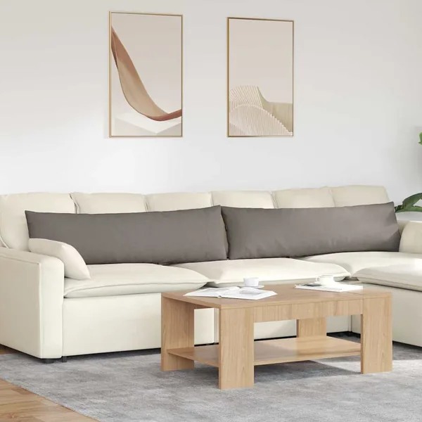 Coussins de canapé 2 pcs Taupe 145 x 40 cm tissu