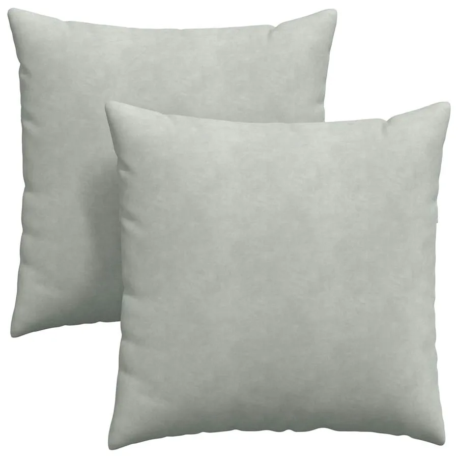 Coussins de canapé 2 pcs Gris clair 60 x 60 cm - 2