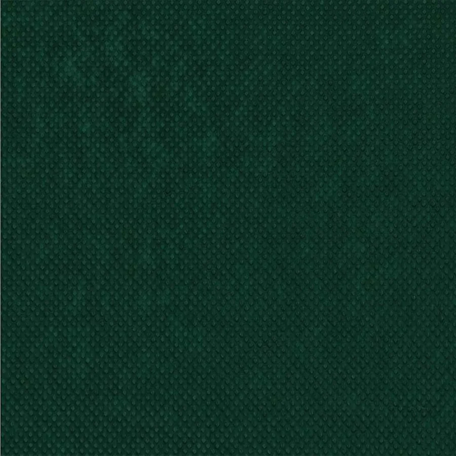 Fleece de protection des plantes contre le gel Vert 20 x 3,2 m - 11