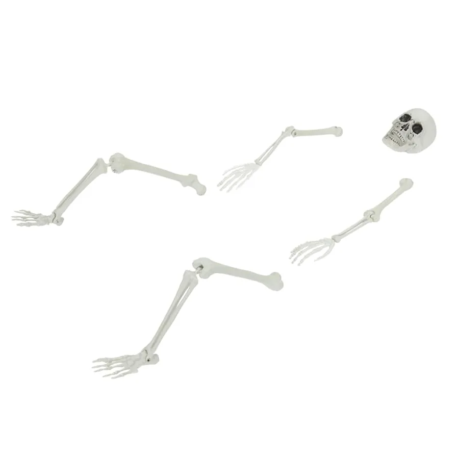 Squelette d'Halloween avec piquets de sol Blanc 45,5 x 13 cm - 2
