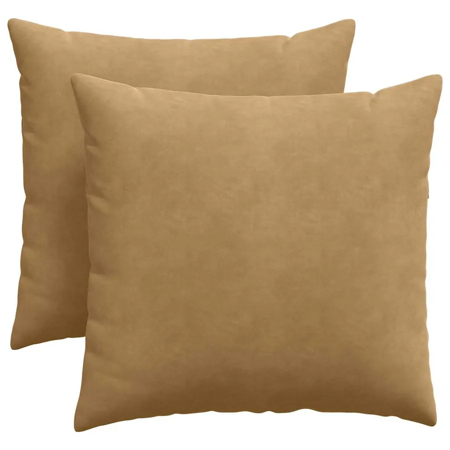 Coussins de canapé 2 pcs Marron 45 x 45 cm - 2