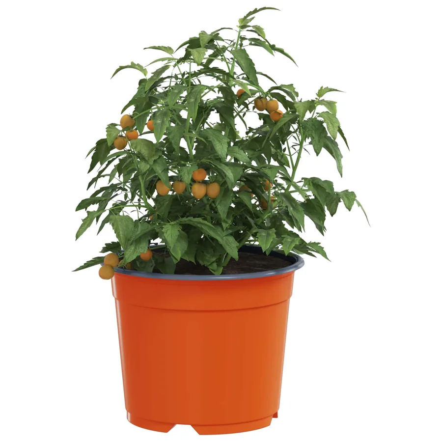 Pot à fleurs rond 50 pcs Terre cuite Ø 10 x 8 cm Plastique - 3