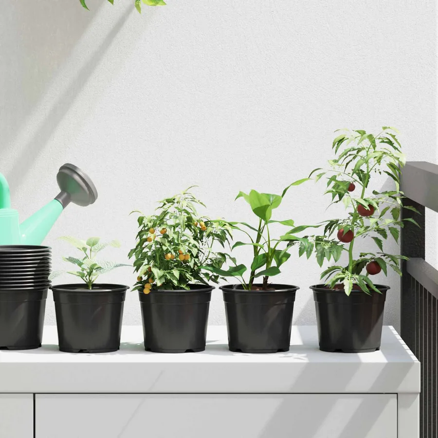 Pot à fleurs rond 50 pcs Noir Ø 10 x 8 cm Plastique