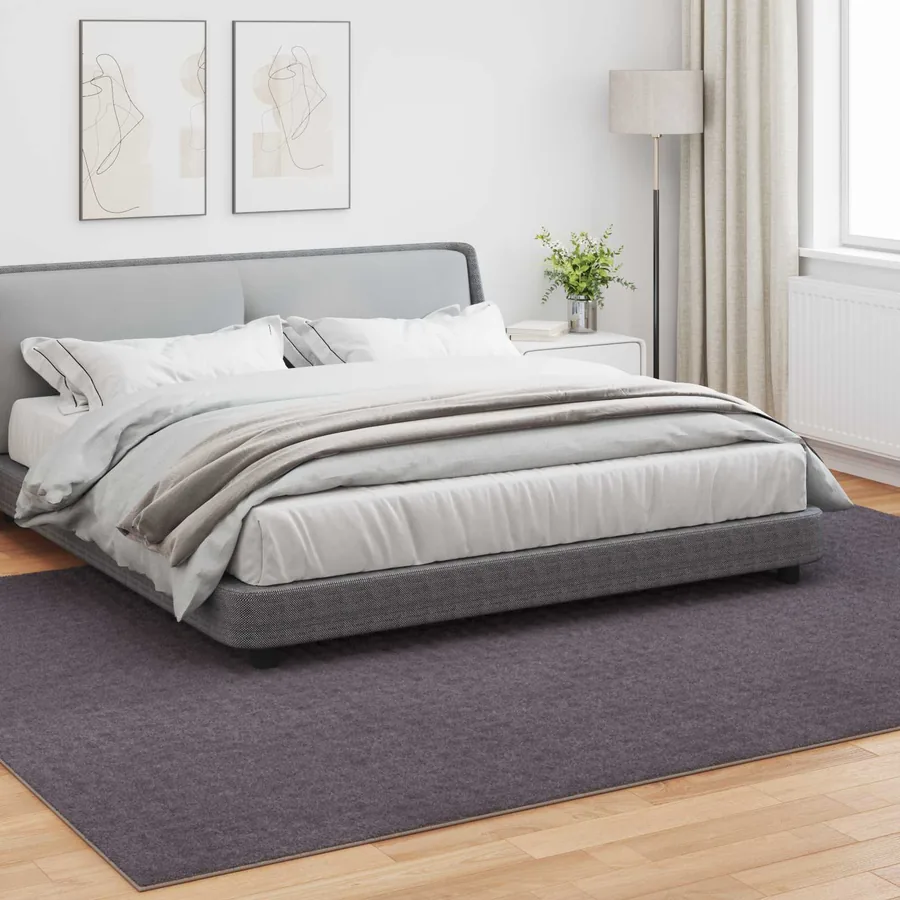 Tapis de surface SIROLO Anthracite 340 x 240 cm Polyester - 3