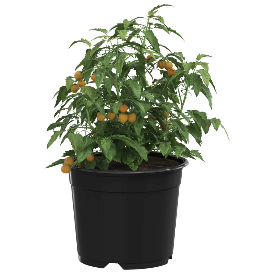 Pot à fleurs rond 200 pcs Noir Ø 10 x 8 cm Plastique - 3