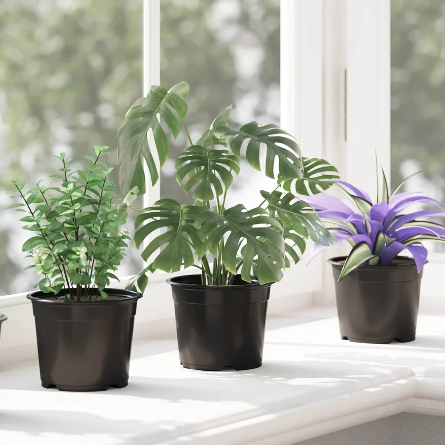 Pot à fleurs rond 200 pcs Noir Ø 10 x 8 cm Plastique - 5