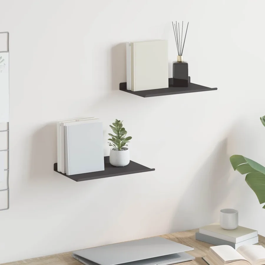 Étagère flottante 2 pcs Noir 30 x 17,5 x 2,5 cm Acier